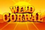 Read more about the article Wild Corral Slot Game