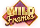 Read more about the article Wild Frames Slot Game