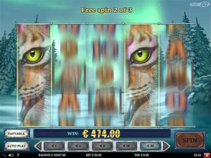 Read more about the article Wild North Slot Game