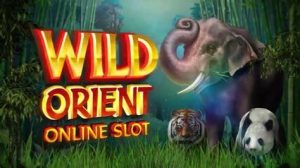 Read more about the article Wild Orient Slot Game