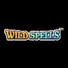 Read more about the article Wild Spells Slot Game