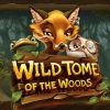 Read more about the article Wild Tome Of The Wood Slot Game