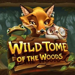 Read more about the article Wild Tome Of The Wood Slot Game