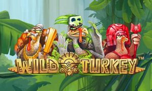 Read more about the article Wild Turkey Slot Game