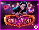 Read more about the article Wild Velvet Slot Game