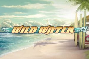 Read more about the article Wild Water Slot Game