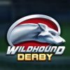 Read more about the article Wildhound Derby Slot Game