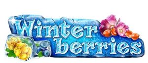 Read more about the article Winter Berries Slot Game