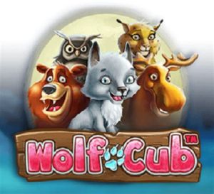 Read more about the article Wolf Cub Slot Game