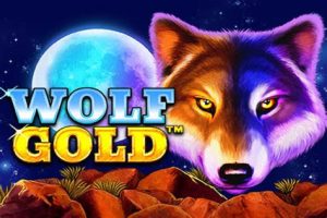 Read more about the article Wolf Gold Slot Game