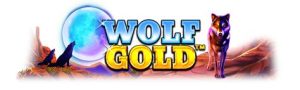 Read more about the article Wolf Gold Ultimate Slot Game Review