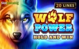 Read more about the article Wolf Power: Hold And Win Slot Game