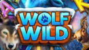 Read more about the article Wolf Wild Slot Game