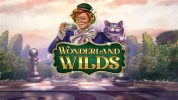 Read more about the article Wonderland Wilds Slot Game